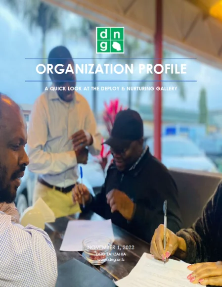 DNG Tanzania Strategic Plan 2021-2024