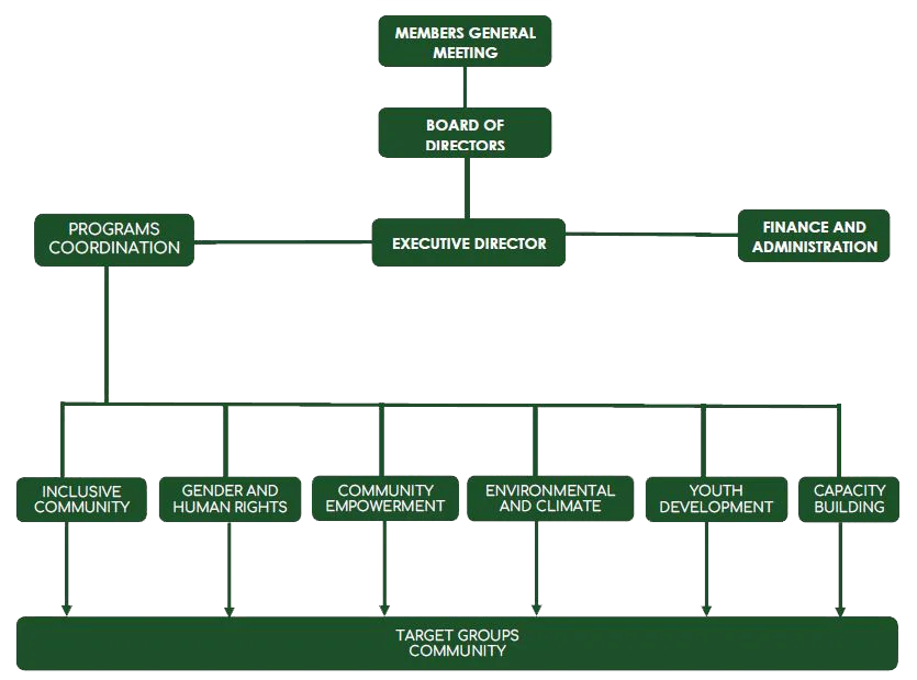 The Organization Setup