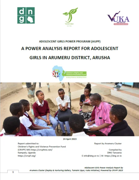 DNG Tanzania Power Analysis Report