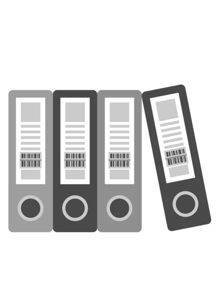 DNG Tanzania Strategic Plan 2025-2029